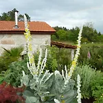 Vakantiehuis Quinta Do Cobral Oliveira do Hospital