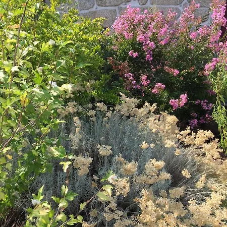 Quinta Do Cobral Vakantiehuis Oliveira do Hospital