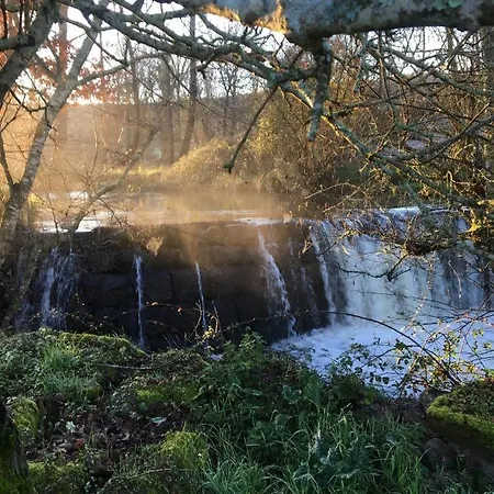 Vakantiehuis Quinta Do Cobral *