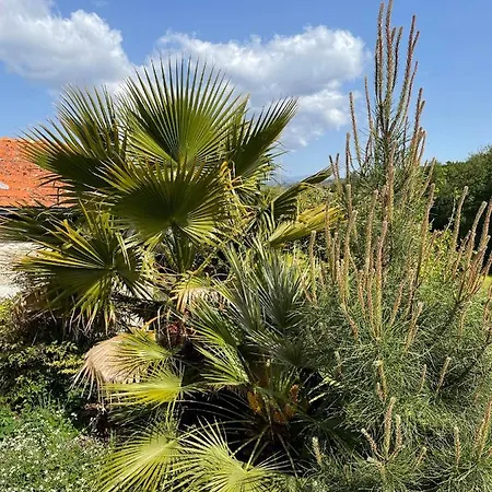 Quinta Do Cobral Holiday home