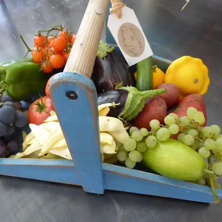 Vakantiehuis Quinta Do Cobral