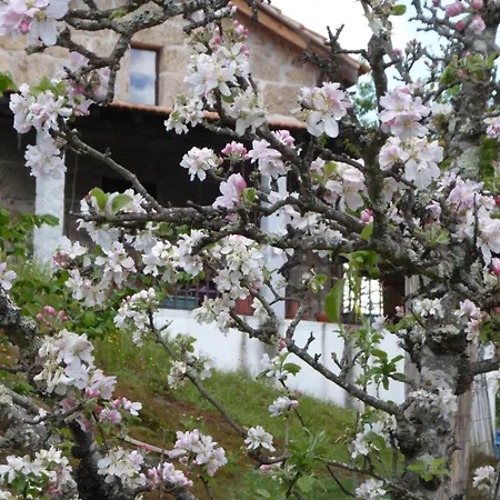 Quinta Do Cobral Oliveira do Hospital