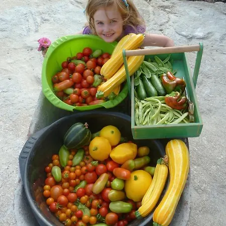 Vakantiehuis Quinta Do Cobral Oliveira do Hospital