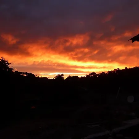 Casa de Férias Quinta Do Cobral