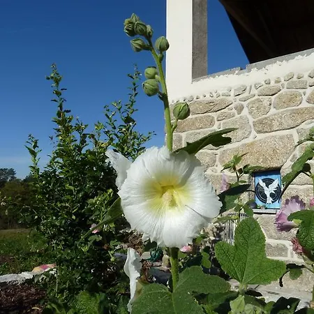 Quinta Do Cobral Holiday home
