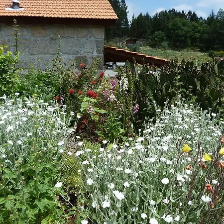 Holiday home Quinta Do Cobral Oliveira do Hospital