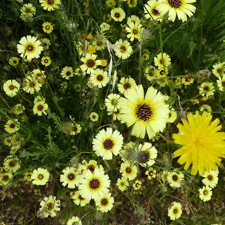 Casa de Férias Quinta Do Cobral *