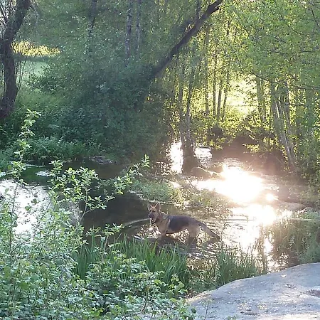 Quinta Do Cobral Vakantiehuis *