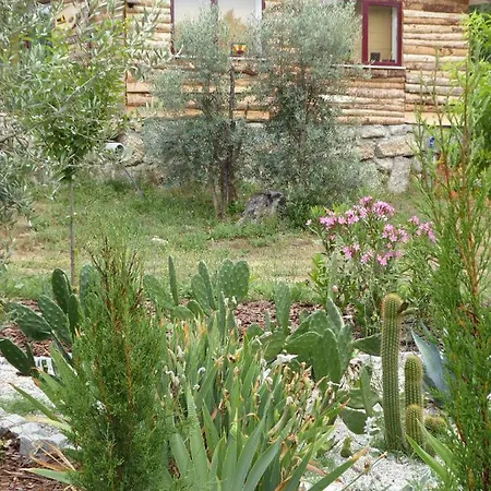 Quinta Do Cobral Holiday home *