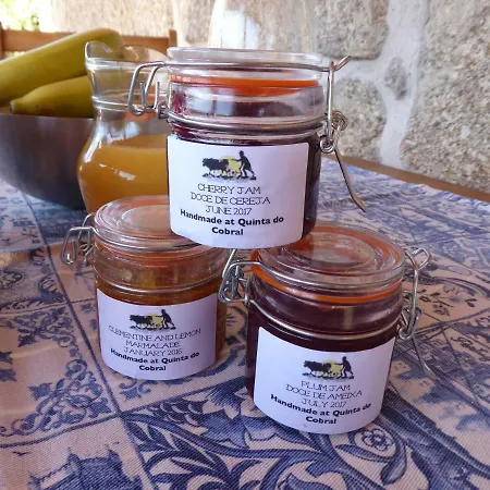 Quinta Do Cobral Casa vacanze Oliveira do Hospital