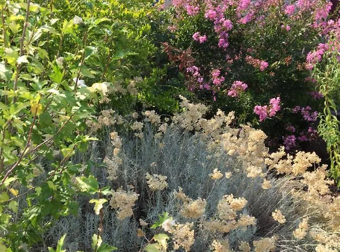 Quinta Do Cobral 別荘 オリヴェイラ・ド・オスピタル