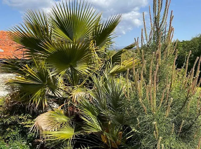 Quinta Do Cobral 別荘