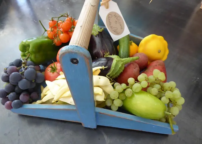 別荘 Quinta Do Cobral