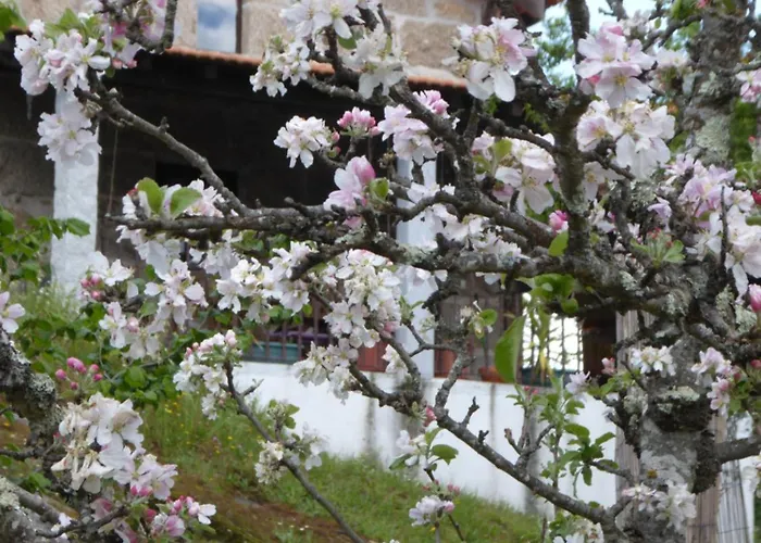 Quinta Do Cobral オリヴェイラ・ド・オスピタル