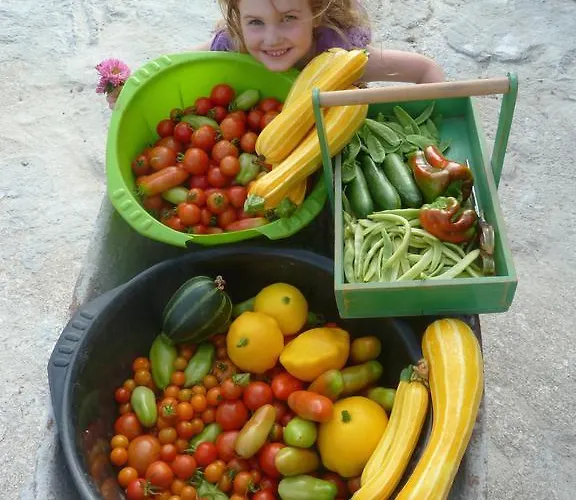 別荘 Quinta Do Cobral オリヴェイラ・ド・オスピタル