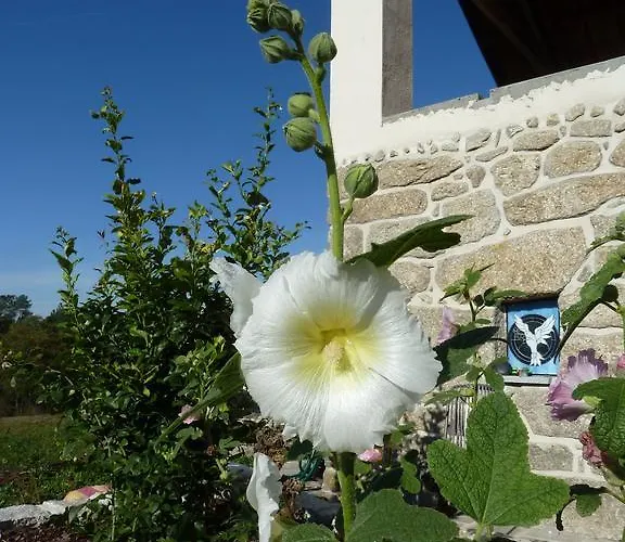 Quinta Do Cobral 別荘