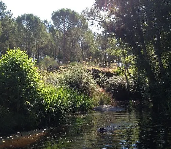 Quinta Do Cobral * オリヴェイラ・ド・オスピタル