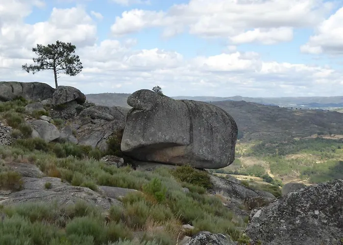 Quinta Do Cobral 別荘 オリヴェイラ・ド・オスピタル
