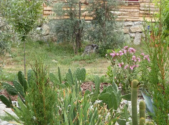 Quinta Do Cobral 別荘 *